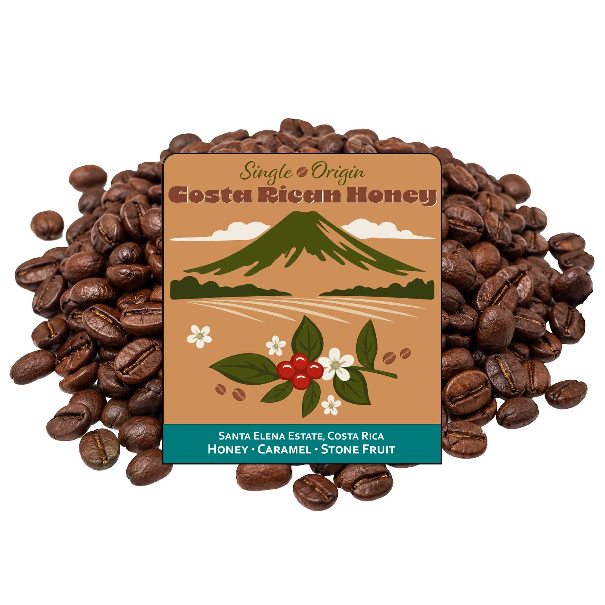 Costa Rican Honey Single Origin | Florence Coffee Co.